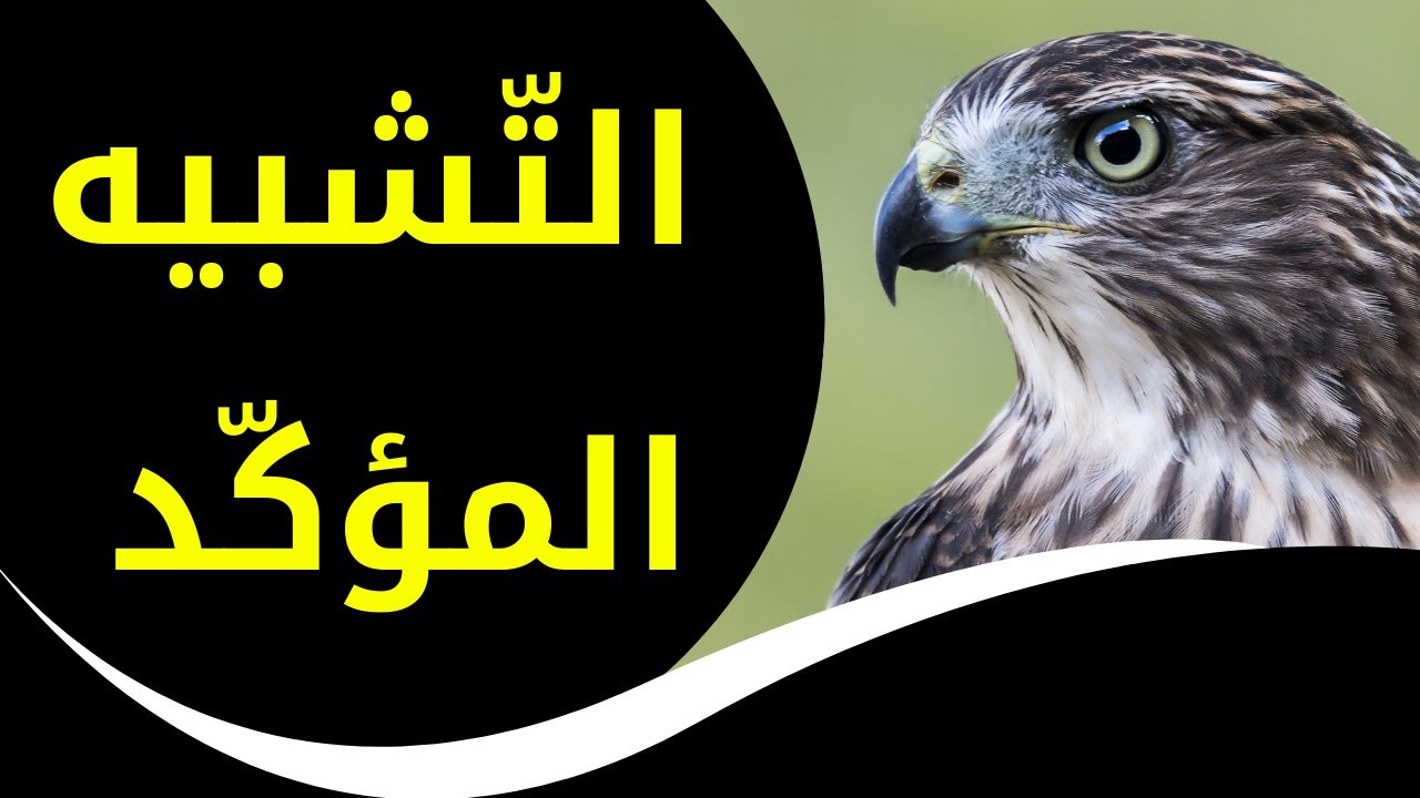 اكتشف أسرار التشبيه المؤكد بسهولة!