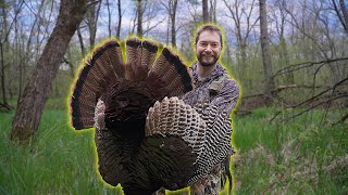 Turkey Hunt - CALLED HIM ACROSS THE VALLEY