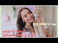 Things I Wish I Knew Before Getting A Cat / CAT UPDATE (7 months old)