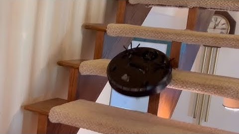 Robot Vacuums Crashing Down The Stairs! 😵‍💫