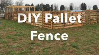We built a quick and easy fence out of free pallets to contain our chickens and ducks.