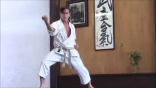 Download lagu Hip movement trainning heian shodan taikyoku shodan Rick Hotton Sensei Hip movement trainning heian shodan taikyoku shodan Rick Hotton Sensei