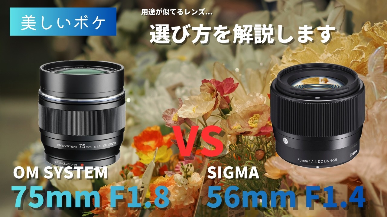 実写比較】SIGMA 56mm F1.4 DC DN vs M.ZUIKO DIGITAL ED 75mm F1.8