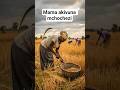 MAMA AKIVUNA MCHOCHEZI Subscribe