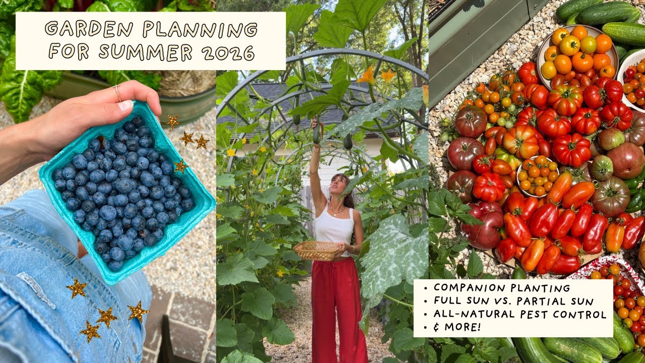 Backyard Garden Planning for Summer 2026 | Companion Planting, Organic Pest Deterrents & More!