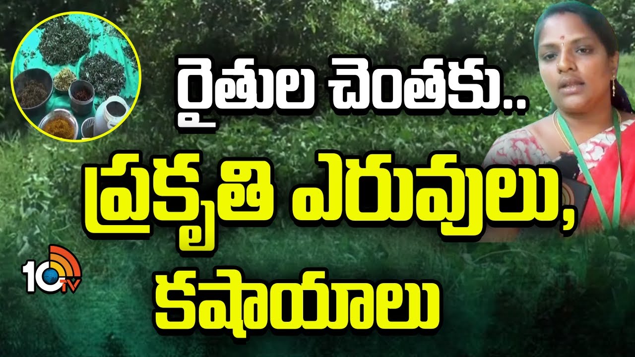 రైతుల చెంతకు.. ప్రకృతి ఎరువులు, కషాయాలు | Natural Fertilizers for Farming | Matti Manishi | 10tv