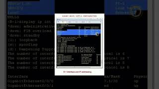 Basic Ospfv2 Configuration