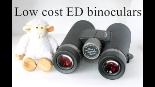 Levenhuk Nitro ED 10x42 Binoculars Review - Are They Worth It?