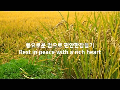 사랑하는그대와 이꿈길을 걸어가리라Walk <strong>this</strong> <strong>dream</strong> path with you dear(노래강사 손영주TV,힐링영상,힐링음악,잠잘오는음악