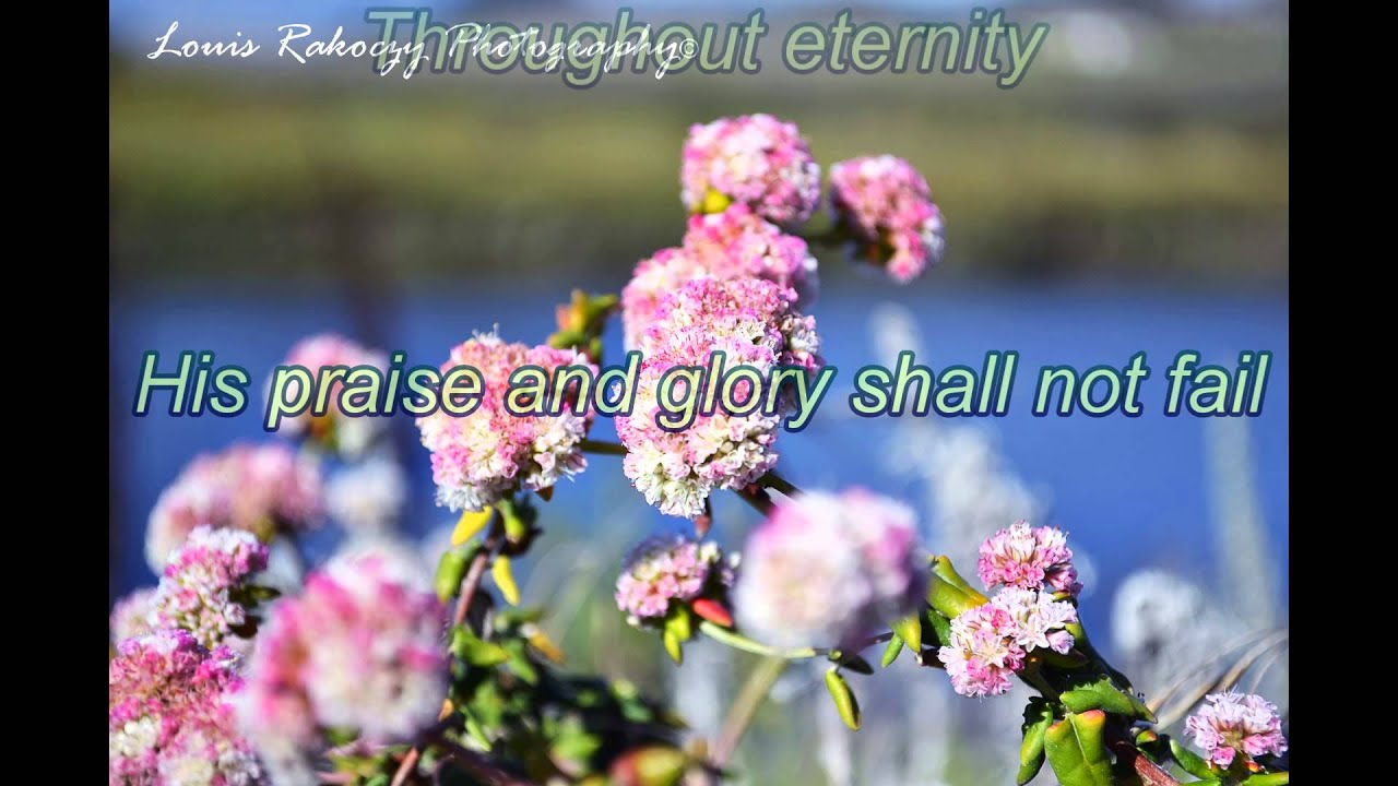 Chris Tomlin ft. Kari Jobe Crown Him (Majesty) (Lyrics) YouTube
