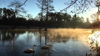 Beauty of Sumter SC