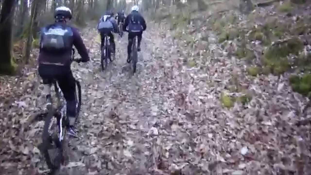 Le Saut Du Cerf Sillé Le Guillaume