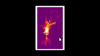 Multi-Cell Simulation Made Easy with BrainCell