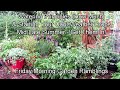 Garden Watering Principles & Planting Your Fall Garden Mid-Summer: FM Garden Ramblings & Tour E-2