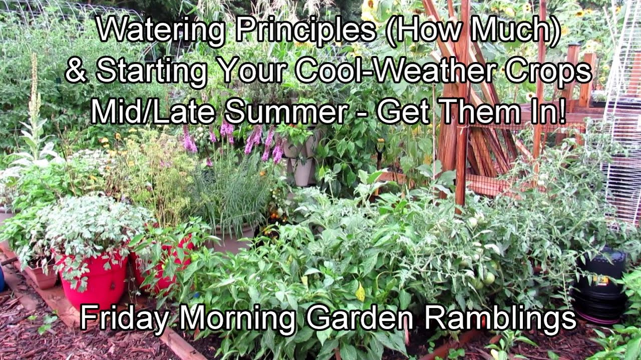Garden Watering Principles & Planting Your Fall Garden Mid-Summer: FM Garden Ramblings & Tour E-2