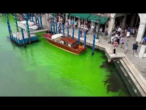 Venezia, l'acqua diventa verde fosforescente