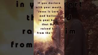Uplifting And Inspiring Bible Passage Romans 109 Niv For Life U0026 Love Introspection