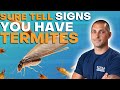 7  Sure Tell Signs You Have Termites