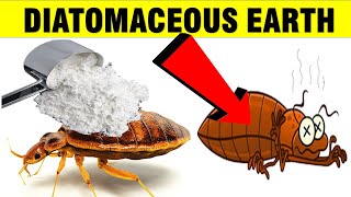 How to apply diatomaceous earth?