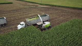 CY Harvesting, chopping silage 2017