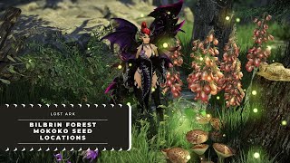 Bilbrin Forest Mokoko Seeds Lost Ark