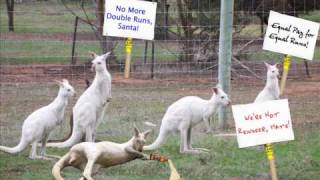 Watch Rolf Harris Six White Boomers video