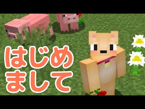 マインクラフト 53 旗 盾をデザイン スプラトゥーンにパイナップル Youtube