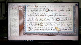 MAWARSOFT QARI PLAYER 7 DEMO (SURAH AS-SAJADAH) - AL QURAN SOFTWARE FOR WINDOWS screenshot 2