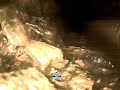 Main Sewer Line Clogged with Scale, Dirt & Debris | Sewer Cam Inspection | Rapid Rooter AZ