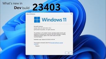 Windows 11 Dev build 23403 and what