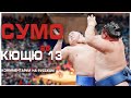 СУМО НА РУССКОМ! Кющю 13! Sumo
