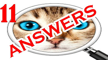 Guess the Pic! 2 ~ Photo Quiz Level 11 - All Answers - Walkthrough