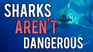Sharks aren't monsters Wealth