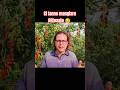Uso Folle del #Glifosato