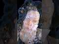 I Never Be Maria Magdalena Bubbles Lennokasmaahinen Loma Maria Magdalena Sandra 