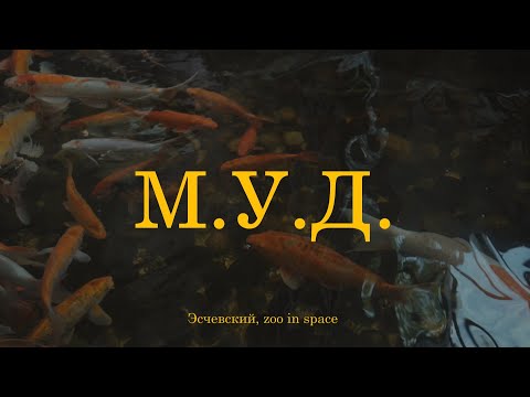 Эсчевский, zoo in space - МУД