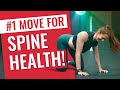 Number 1 move for spine health get moving with happydisco cat 