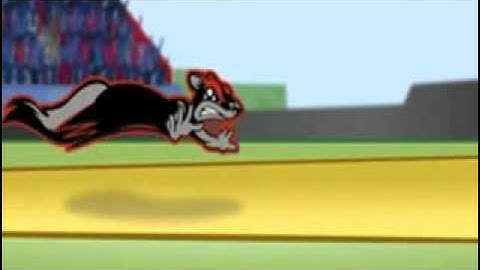 Flying Squirrels Intro Video