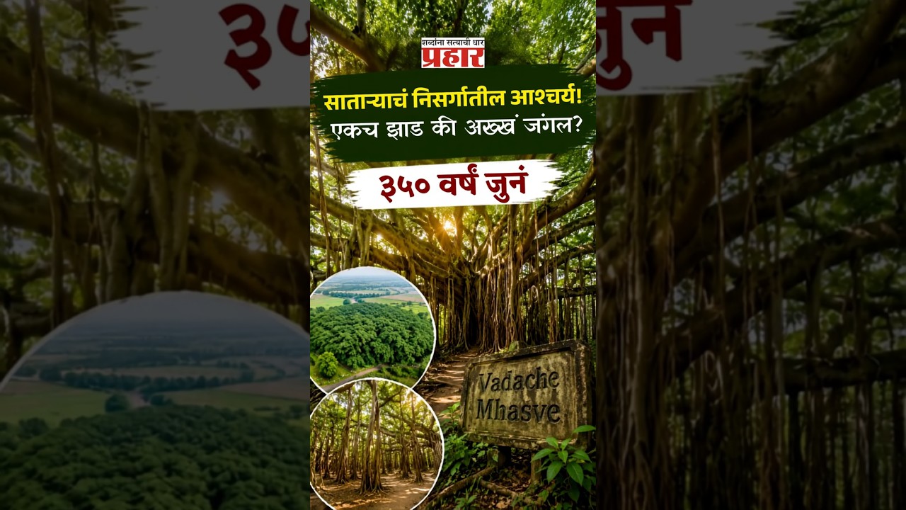 Tree or Forest? | आशियातील दुसऱ्या क्रमांकाचे सर्वात मोठे वडाचे झाड! | prahaarnewsline