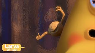 booger animation compilation larva tuba official