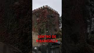 CENTRO DE RIBADESELLA(ASTURIAS)