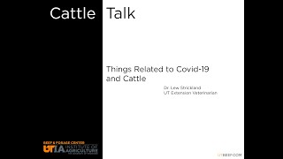 Cattle Talk- Things Related to Covid-19 and Cattle