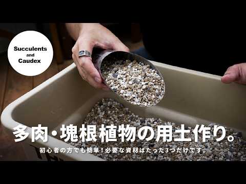ベンジャミン・フランクリンのガーデニング知恵：歴史的視点から学ぶ実践的ヒント