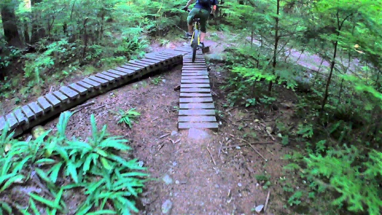 best wearable gimbal for mountain biking