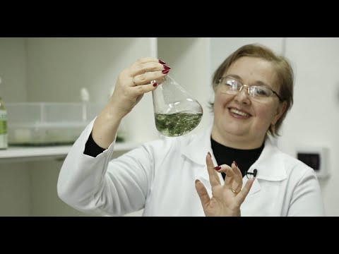 Женщины в науке | zdg.md