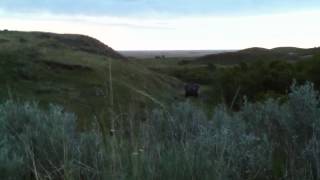 Operation Mason Relic 4, 2012 - Bravo ambush
