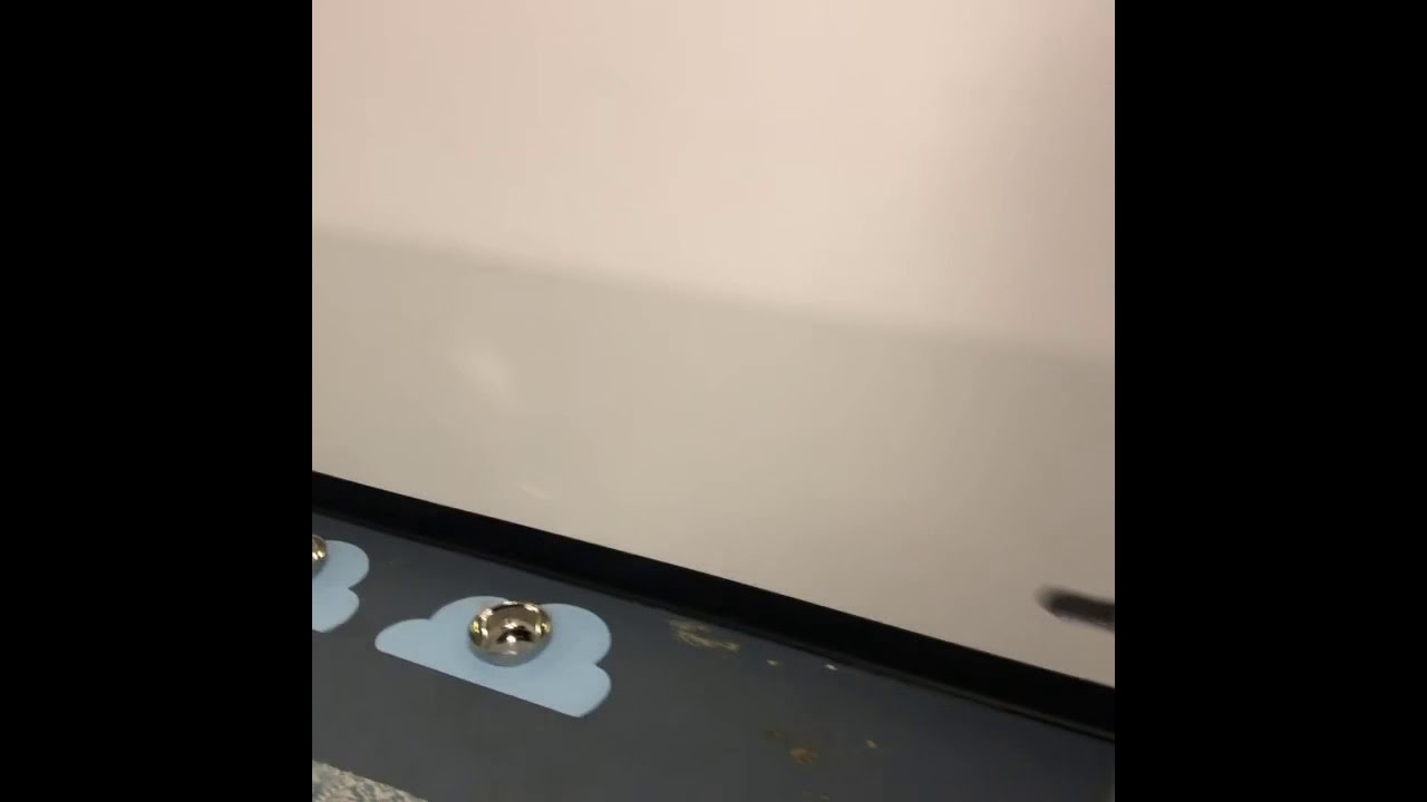 A look at some of the K-9 Cloud 9 Luxury Dog Boarding Suites.