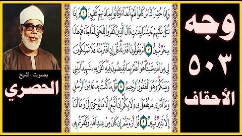 صفحة 503 - سورة الأحقاف - بصوت الحصري - وإذا حشر الناس كانوا لهم أعداء وكانوا بعبادتهم كافرين