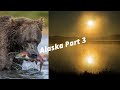 8 DAYS SOLO IN ALASKA PART 3 - WILDLIFE PHOTOGRAPHY, FISHING BEARS AND A SURPRISE VISITOR