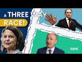 Irish Election and Political Landscape Quiz